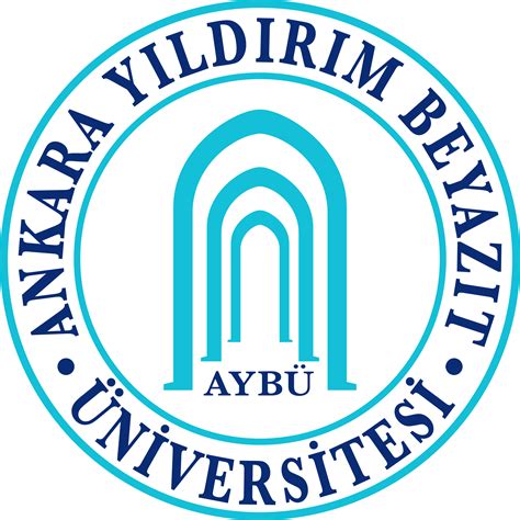 american university logo 2