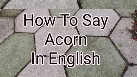 How To Say Acorn In English Youtube