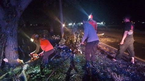 Dahan Pohon Besar Patah Mengantung Di Atas Jalan Penghubung Indramayu