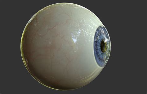 Human Eye 3d Model Cgtrader