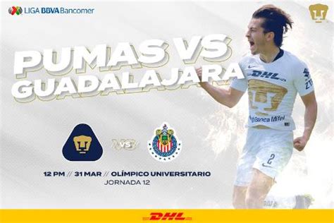 Resultado Pumas Vs Chivas V Deo Resumen Goles Jornada Torneo