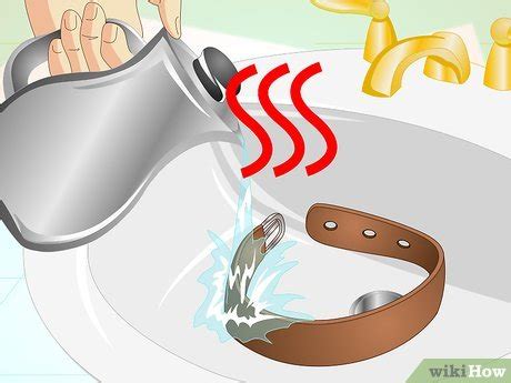 how to clean dog collars