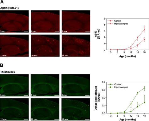 Cerebral Aβ Plaque Burden In Appnl−f Nl−f Knock In Mice Cerebral Aβ42