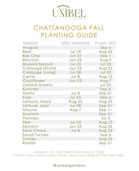 Chattanooga Fall Gardening Guide — Umbel Gardens - Kitchen Gardens ...