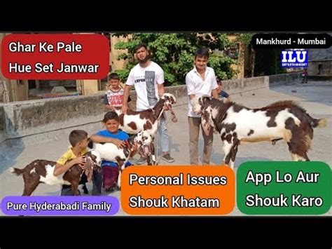 Ghar Ke Pale Janwar Personal Issue Shouk Khatam App Lo Aur Shouk Karo