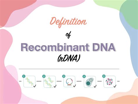 Definition of Recombinant DNA (rDNA) – Genetic Education