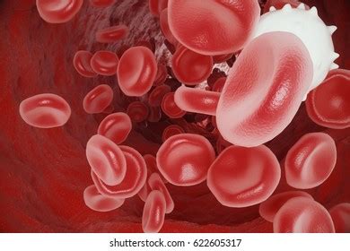 Polycythemia Vera Rare Slowgrowing Blood Cancer