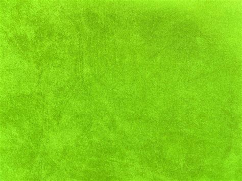 Light Green Velvet Fabric Texture Used As Background Empty Light Green