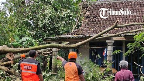 Angin Kencang Terjang Sambirejo Sragen Tiga Rumah Rusak Berat Pohon