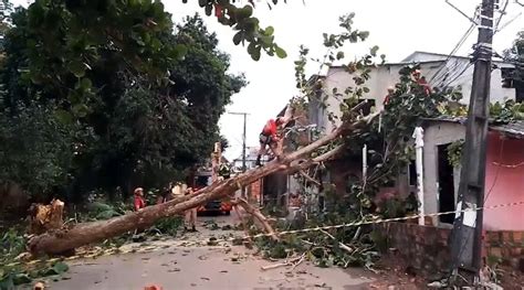 Queda De Rvore Derruba Poste Atinge Casa E Interdita Rua Na Zona