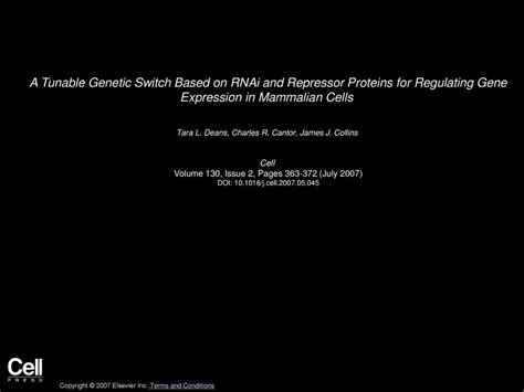 A Tunable Genetic Switch Based On Rnai And Repressor Proteins For