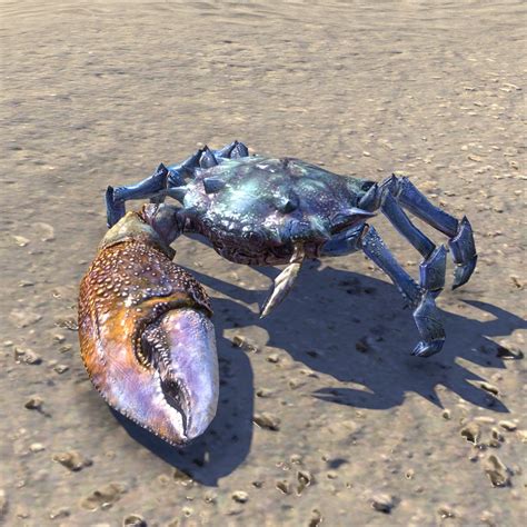 Onlinecoral Mudcrab The Unofficial Elder Scrolls Pages Uesp