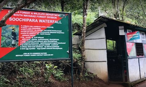 Soochipara Waterfalls, Wayanad | MY WAYANAD