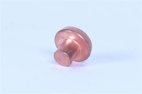 Copper Contact Rivet at Rs 0 25 piece तब क कटकट रवट in