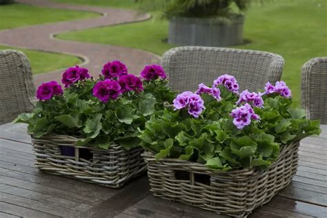 Учебник по работе в программе Ландшафтный Дизайн 3D