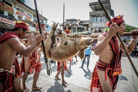 13 Ifugao dance Stock Pictures, Editorial Images and Stock Photos ...