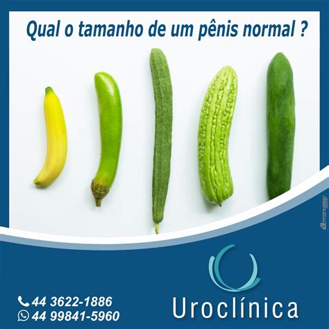 Penis Normal Uroclinica Umuarama