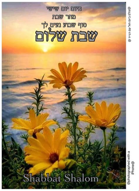 Shabbat Shalom שבת שלום Birthday Greeting Message Good Morning Shabbat Shalom