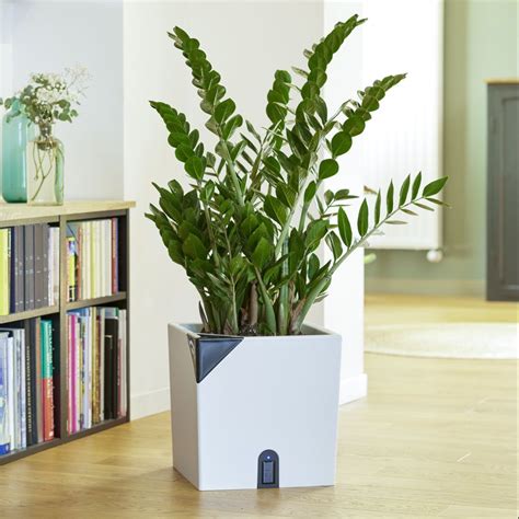 Pot de fleurs EDA carré Aqualight 35 cm Blanc pas cher Achat vente en