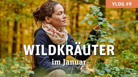 Wildkr Uter Sammeln Im Januar Vlog Youtube