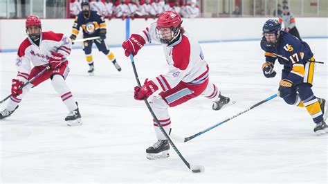 university school  milwaukee usm boys hockey wiaa sectional