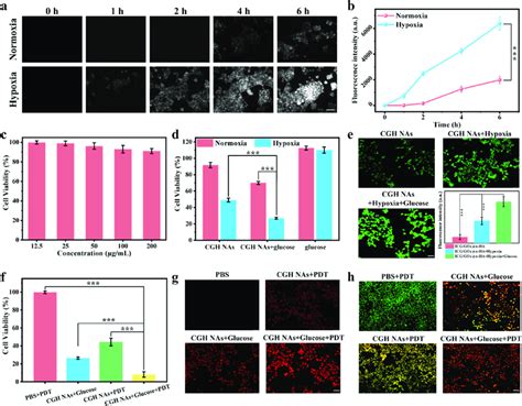 In Vitro A Nir Ii Fl Imaging And B The Corresponding Fluorescence