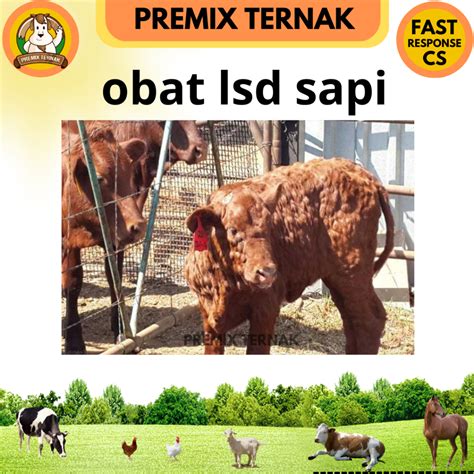 Jual OBAT LSD SAPI AMPUH KOMPLIT OBAT PENYAKIT KULIT SAPI LSD LUMPY