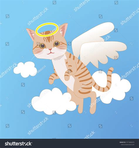 Cat Angel Heaven Tabby Cat Illustration Stock Vector (Royalty Free ...