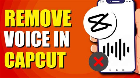 How To Remove Voice In CapCut Easy Method YouTube