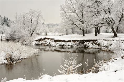 Natural winter landscape stock photo. Image of crown - 263026602