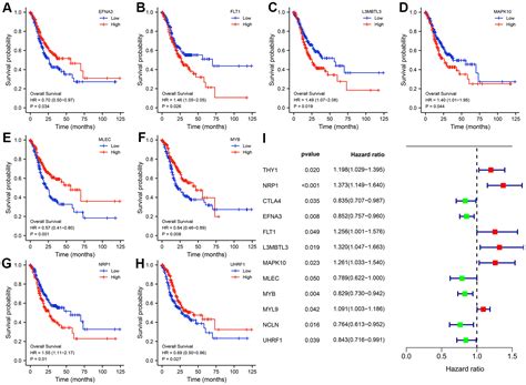 Hub Gene Identification And Molecular Subtype Construction For