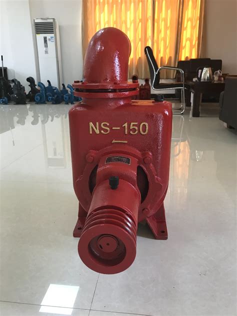 Self Priming Pump 6 Ns 150 Iron Cast Pump China Self Priming Pump