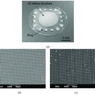 Images of HeLa cells cultured 3 days on the cell culture plate. (a)... | Download Scientific Diagram