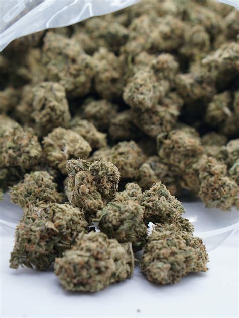 Buy Watermelon Gas (QP) | Happy Clouds