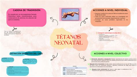 TÉtanos Neonatal Pdf Infantes Medicina Clinica