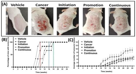 Chemopreventive Effects Of Oral Pterostilbene In Multistage