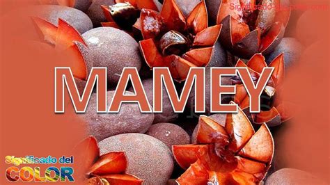 Color mamey ¿Lo conoces? Significado-del-color.com