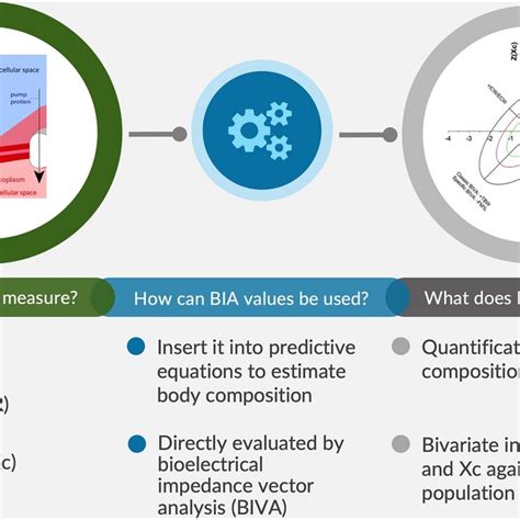 Key Concepts Of Bioelectrical Impedance Analysis Download Scientific Diagram