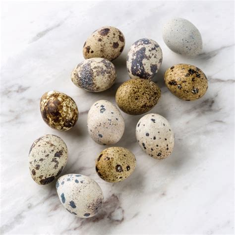 Quail Balut Eggs Online | Aurum Poultry Co.