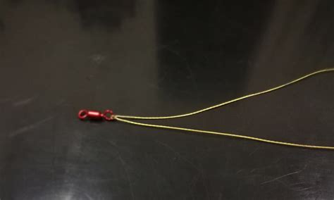 tepat buat perambut  umpan