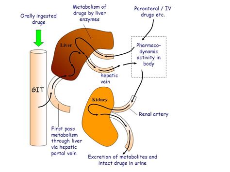 What is a high liver enzyme count number: Fatty Liver Disease ...