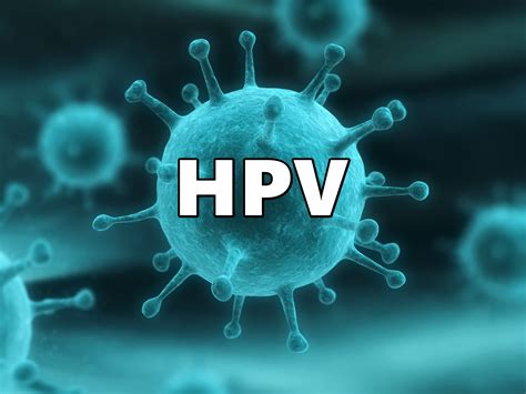 Hpv O Que Causas Sintomas E Preven O Cura Natural