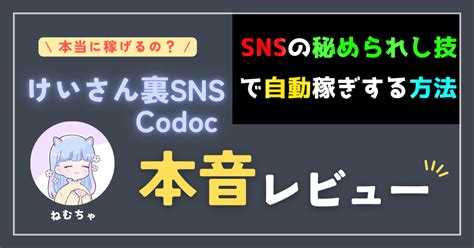 📝副業実践＆レビュー記事【けいさん教材】『99％の人が知らないsnsの裏事情を活かして自動で稼ぐ方法：裏sns』をやってみた結果と感想｜ね