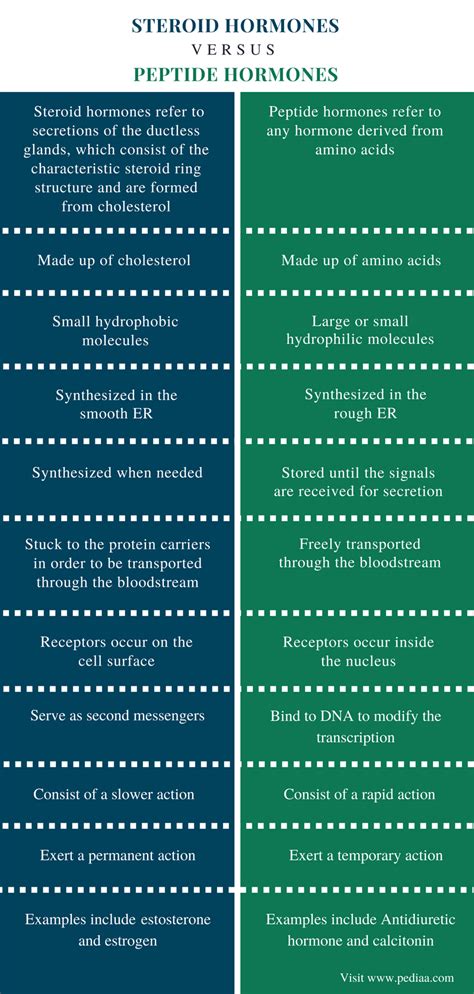 Difference Between Steroid And Peptide Hormones Definition Mechanism