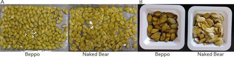 HS1323 HS1323 Yield And Horticultural Performance Of Naked Seed