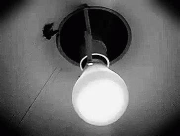 Moth Light Bulb GIF - Moth Light Bulb - Discover & Share GIFs