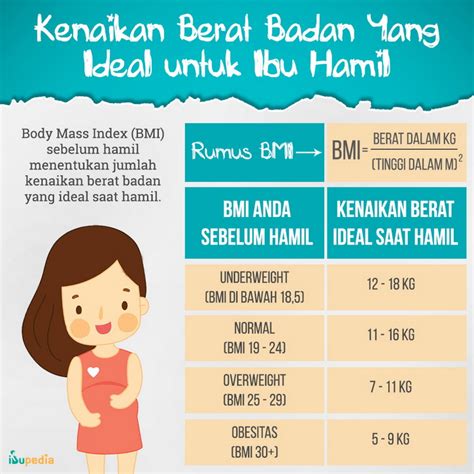 Kenaikan Berat Badan Yang Ideal Untuk Ibu Hamil Ibupedia