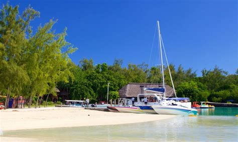 Mauritius Catamaran Cruise To Ile Aux Cerfs With BBQ Lunch GetYourGuide