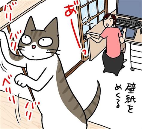 飼い主にかまってほしい猫の作戦とは？ “知能犯な猫”を描いた漫画に「うちもです」「猫は賢い」の声 ねとらぼ