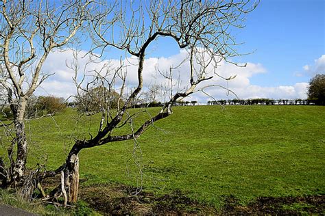 Kiltamnagh Townland Kenneth Allen Cc By Sa Geograph Ireland